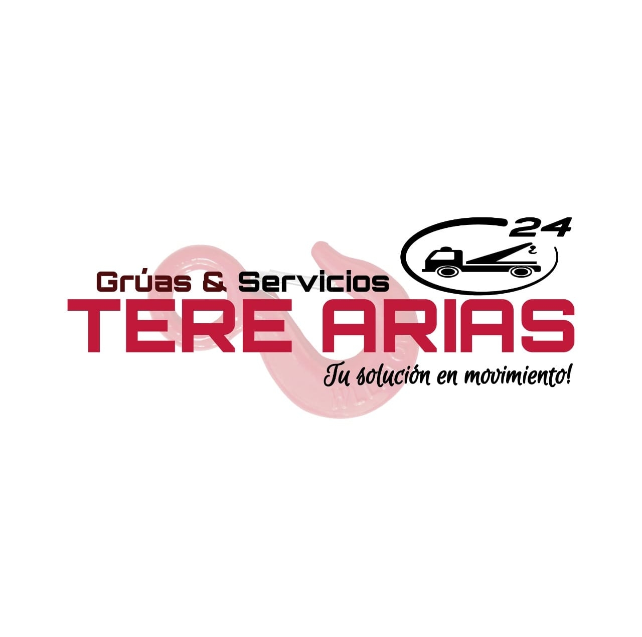 Grúas Tere Arias — cliente SDG Seguridad